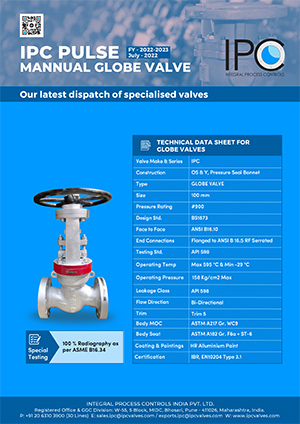 IPC-Update-Mannual-Globe-Valves