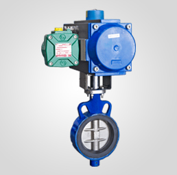 Automated-Centric-Butterfly-Valve