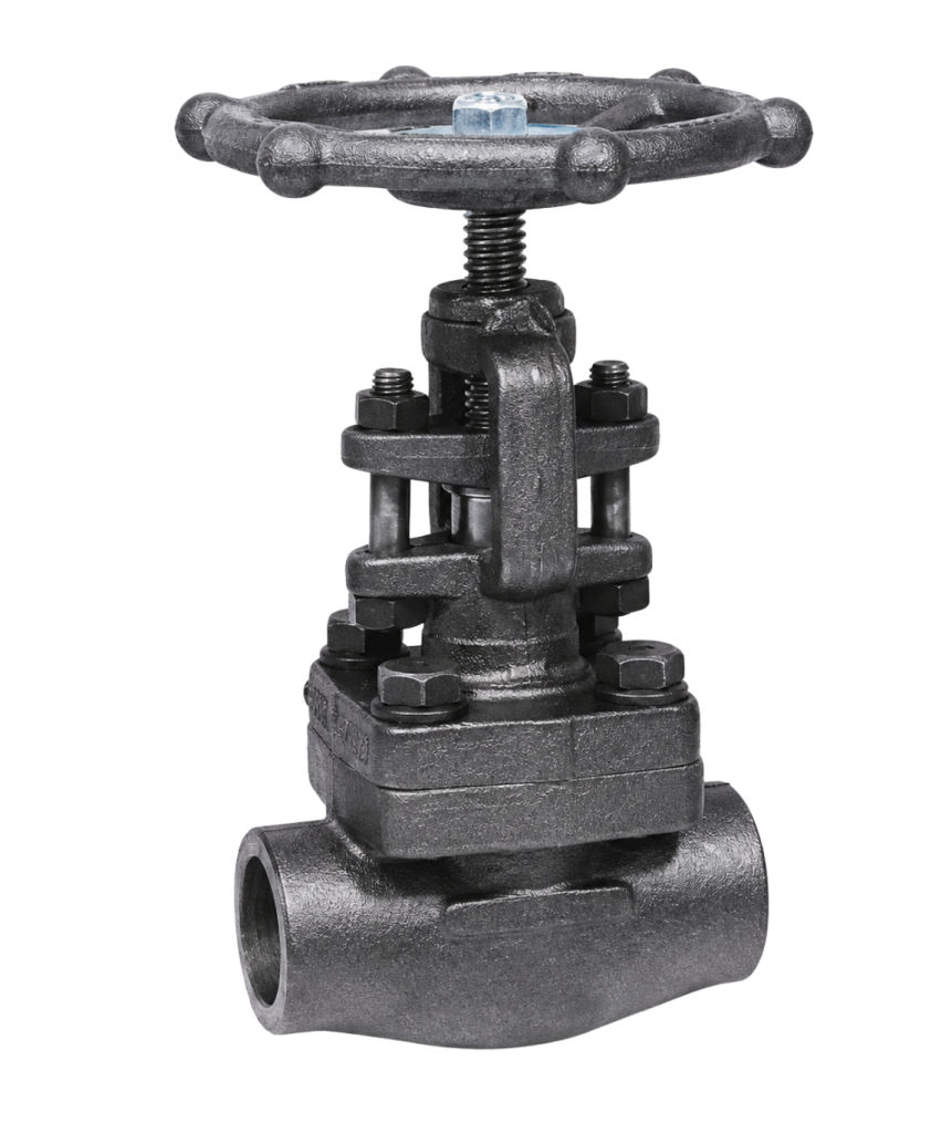 Forge-Steel-Globe-Valve-Full-Image